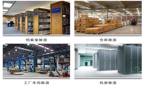 為什么竹筍烘干房需要除濕機？