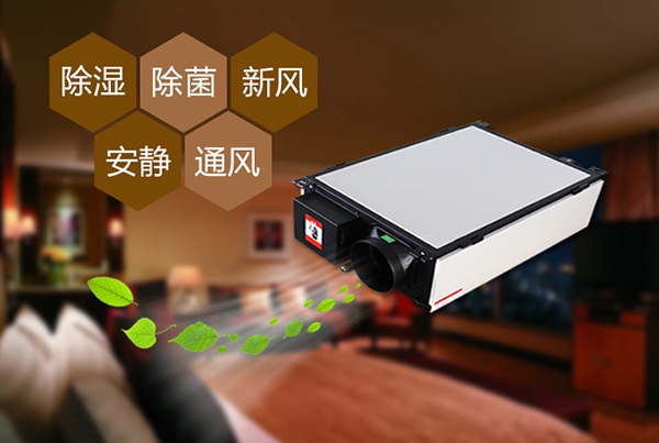 為什么冷庫除濕機會出現結霜的情況？