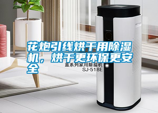花炮引線烘干用除濕機，烘干更環保更安全