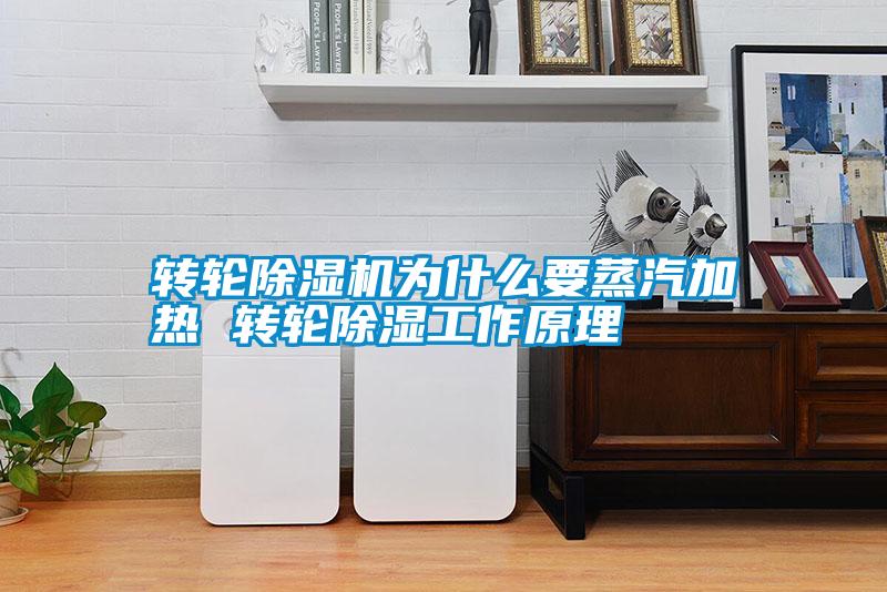 轉輪除濕機為什么要蒸汽加熱 轉輪除濕工作原理