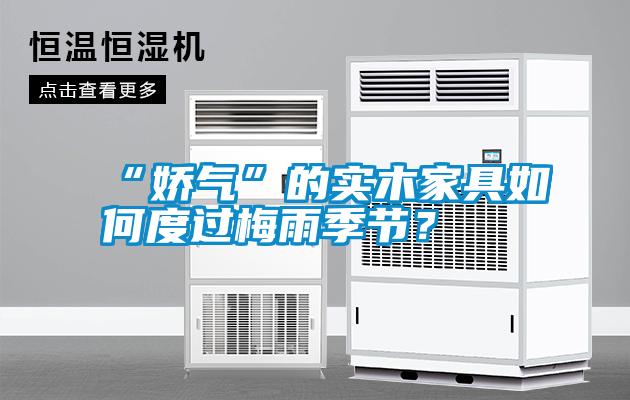 “嬌氣”的實木家具如何度過梅雨季節？