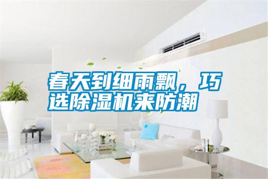 春天到細(xì)雨飄，巧選除濕機(jī)來防潮