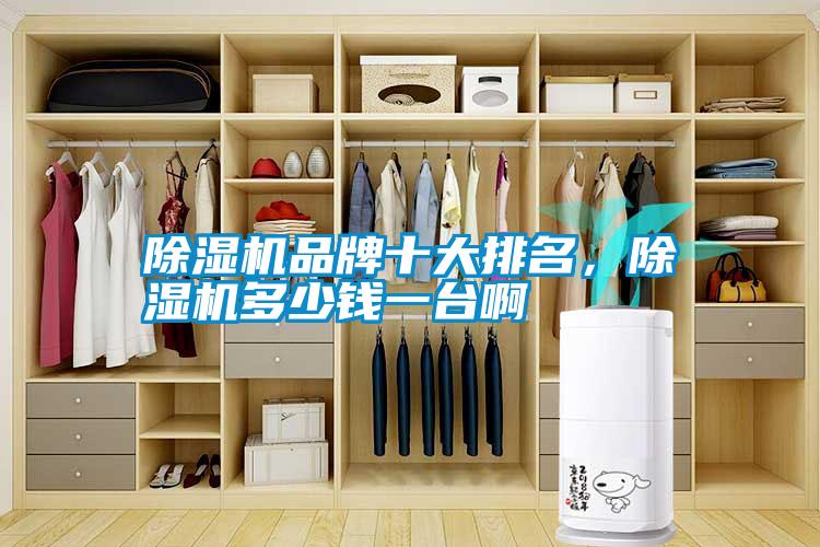 除濕機品牌十大排名，除濕機多少錢一臺啊