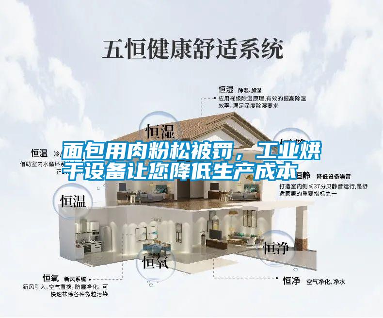 面包用肉粉松被罰，工業烘干設備讓您降低生產成本