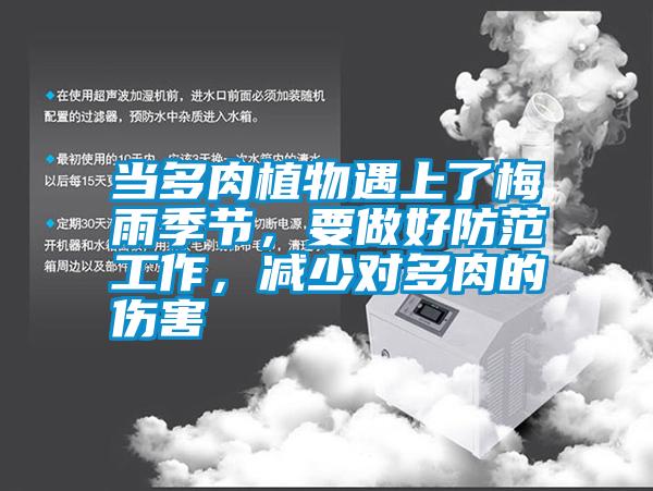 當多肉植物遇上了梅雨季節，要做好防范工作，減少對多肉的傷害