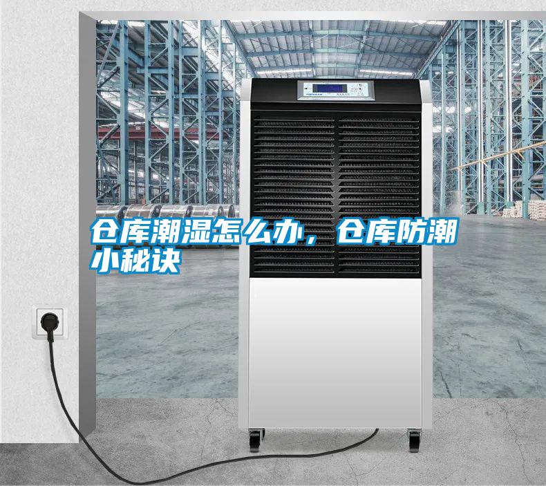 倉(cāng)庫(kù)潮濕怎么辦，倉(cāng)庫(kù)防潮小秘訣