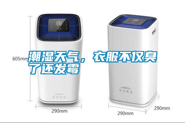 潮濕天氣，衣服不僅臭了還發(fā)霉