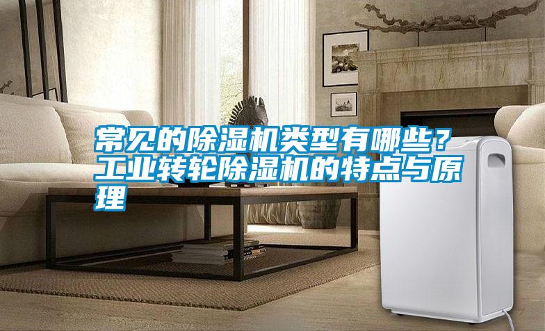 常見的除濕機(jī)類型有哪些？工業(yè)轉(zhuǎn)輪除濕機(jī)的特點(diǎn)與原理
