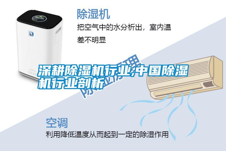 深耕除濕機行業,中國除濕機行業剖析