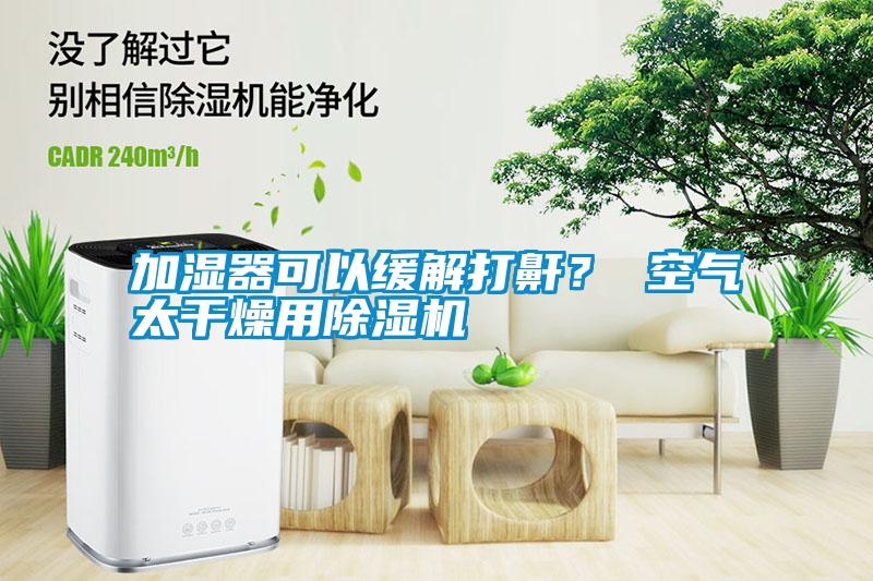 加濕器可以緩解打鼾？ 空氣太干燥用除濕機