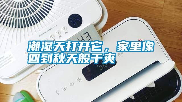 潮濕天打開它，家里像回到秋天般干爽