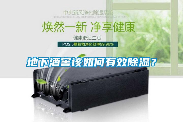 地下酒窖該如何有效除濕？