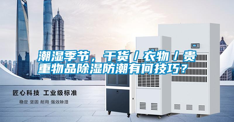 潮濕季節(jié)，干貨／衣物／貴重物品除濕防潮有何技巧？