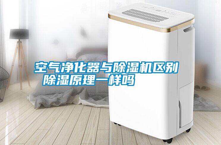 空氣凈化器與除濕機區別  除濕原理一樣嗎