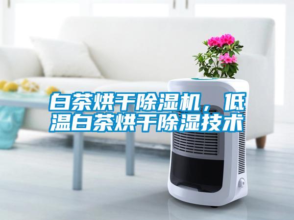 白茶烘干除濕機，低溫白茶烘干除濕技術