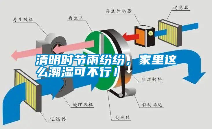 清明時節雨紛紛，家里這么潮濕可不行！