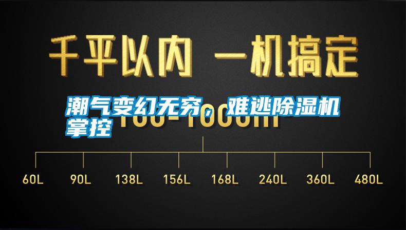 潮氣變幻無窮,難逃除濕機掌控