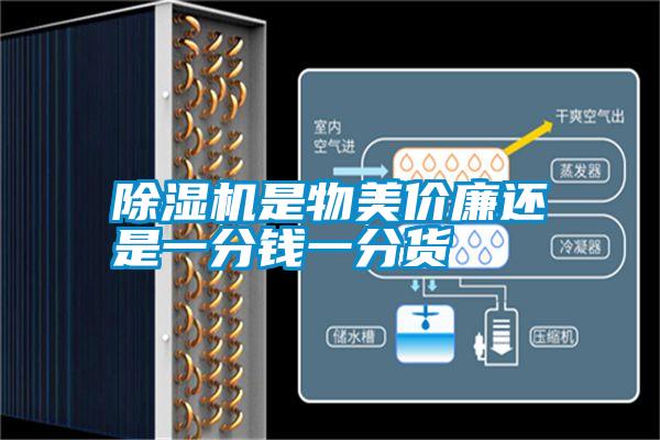 除濕機(jī)是物美價(jià)廉還是一分錢(qián)一分貨