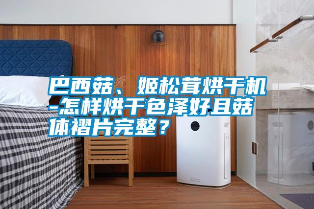巴西菇、姬松茸烘干機(jī)-怎樣烘干色澤好且菇體褶片完整？