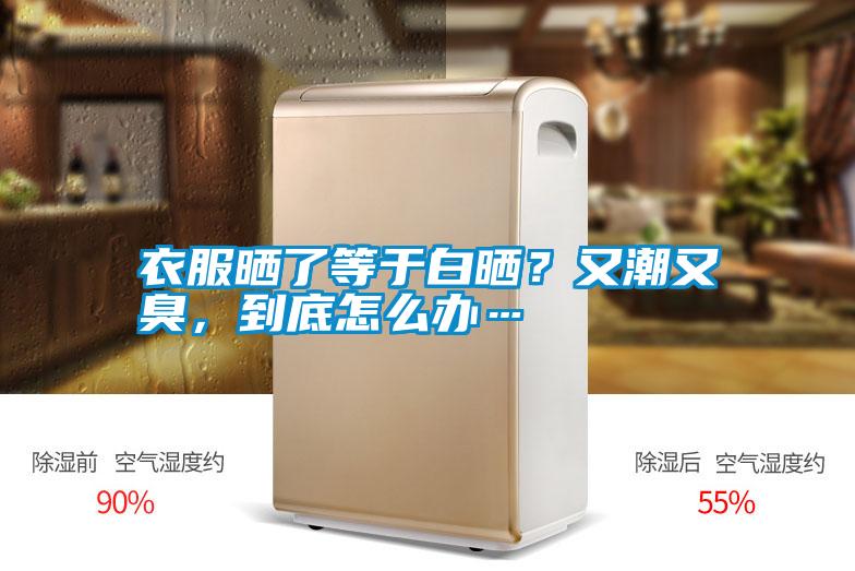 衣服曬了等于白曬？又潮又臭，到底怎么辦…