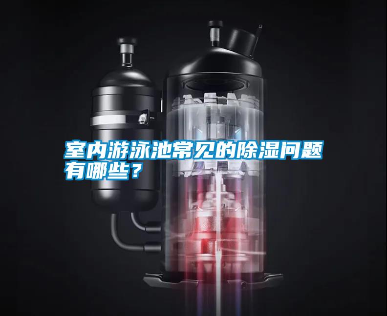 室內游泳池常見的除濕問題有哪些？