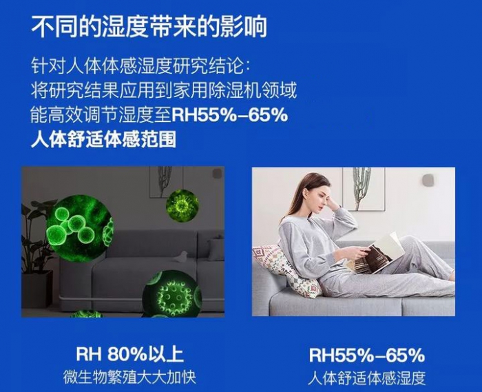 梅雨季怎么養護月季？