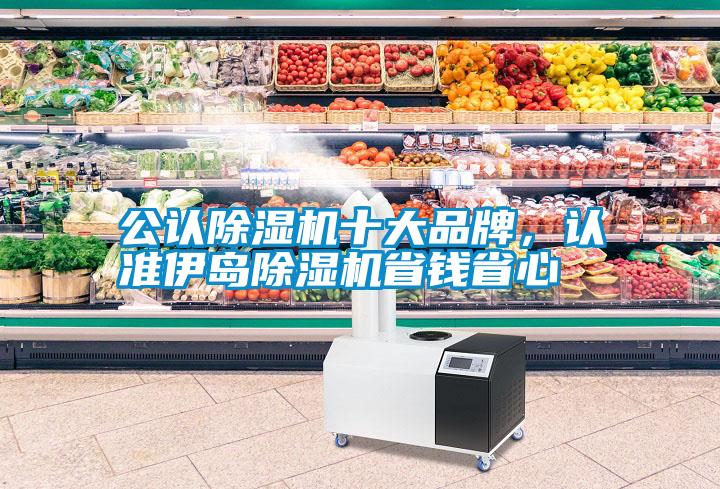 公認除濕機十大品牌，認準伊島除濕機省錢省心