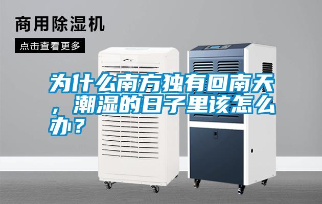 為什么南方獨有回南天，潮濕的日子里該怎么辦？