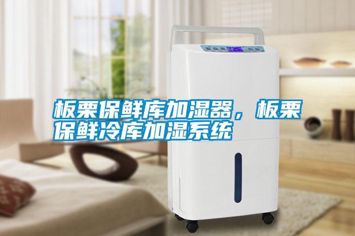 板栗保鮮庫加濕器，板栗保鮮冷庫加濕系統