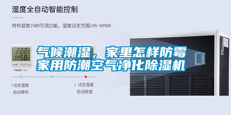 氣候潮濕，家里怎樣防霉 家用防潮空氣凈化除濕機(jī)