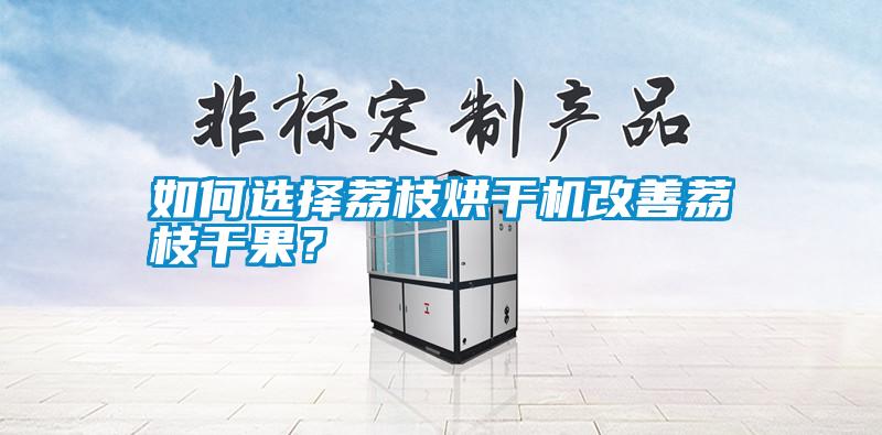 如何選擇荔枝烘干機改善荔枝干果？