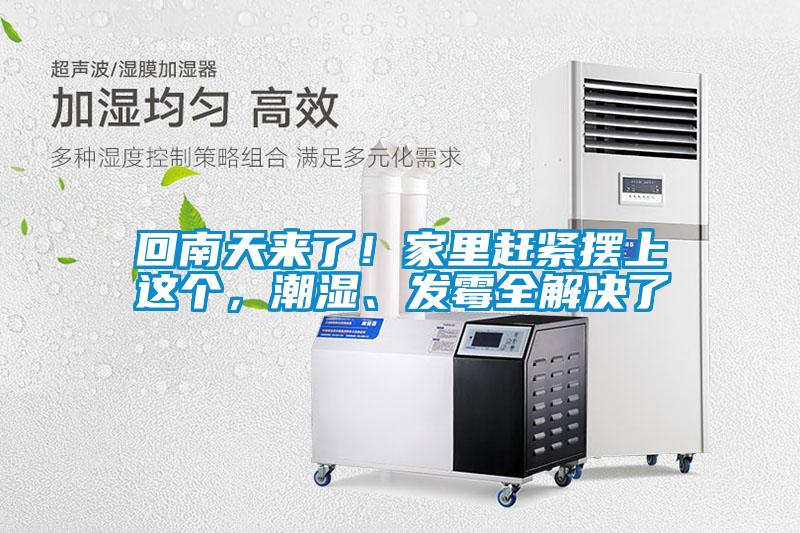 回南天來了！家里趕緊擺上這個，潮濕、發霉全解決了