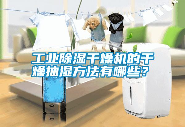 工業(yè)除濕干燥機的干燥抽濕方法有哪些？