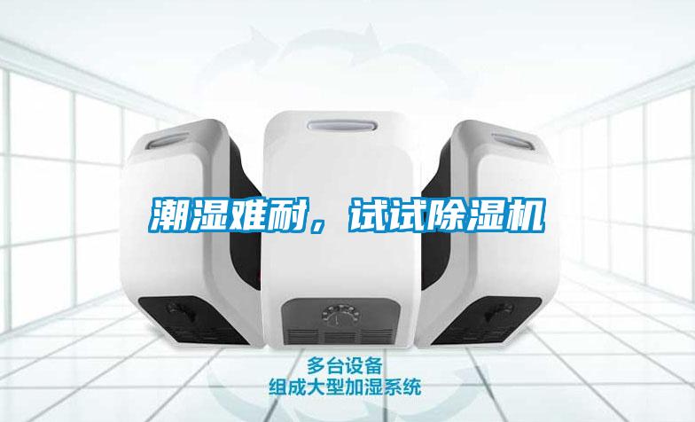 潮濕難耐，試試除濕機