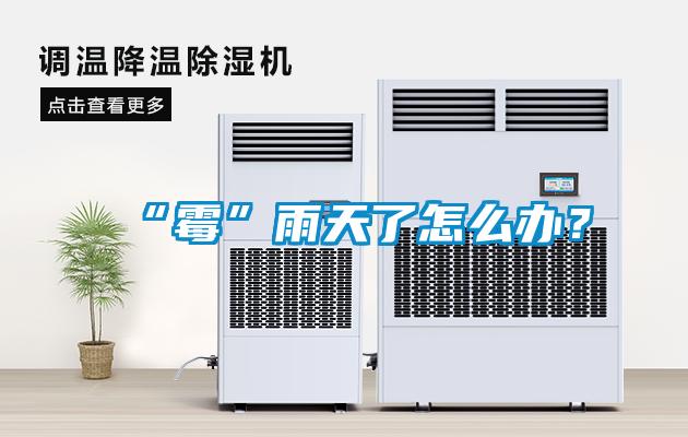 “霉”雨天了怎么辦？