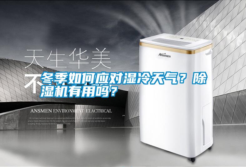 冬季如何應(yīng)對(duì)濕冷天氣？除濕機(jī)有用嗎？