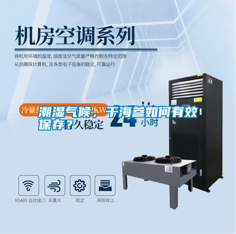 潮濕氣候，干海參如何有效保存？