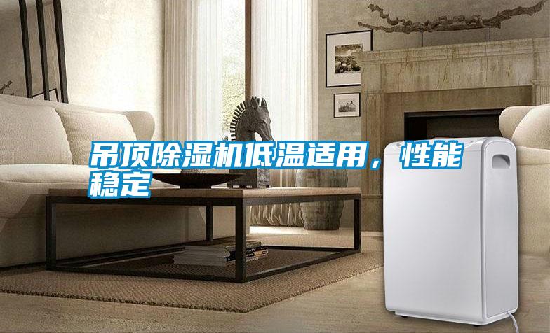 吊頂除濕機(jī)低溫適用，性能穩(wěn)定