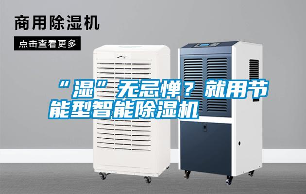 “濕”無忌憚?就用節能型智能除濕機