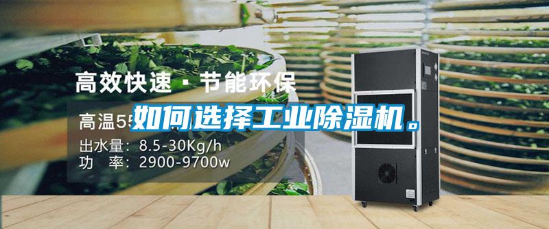 如何選擇工業(yè)除濕機(jī)。