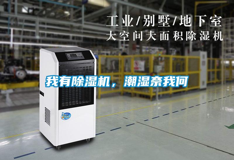 我有除濕機(jī)，潮濕奈我何