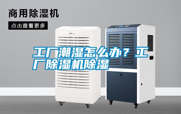 工廠潮濕怎么辦？工廠除濕機(jī)除濕