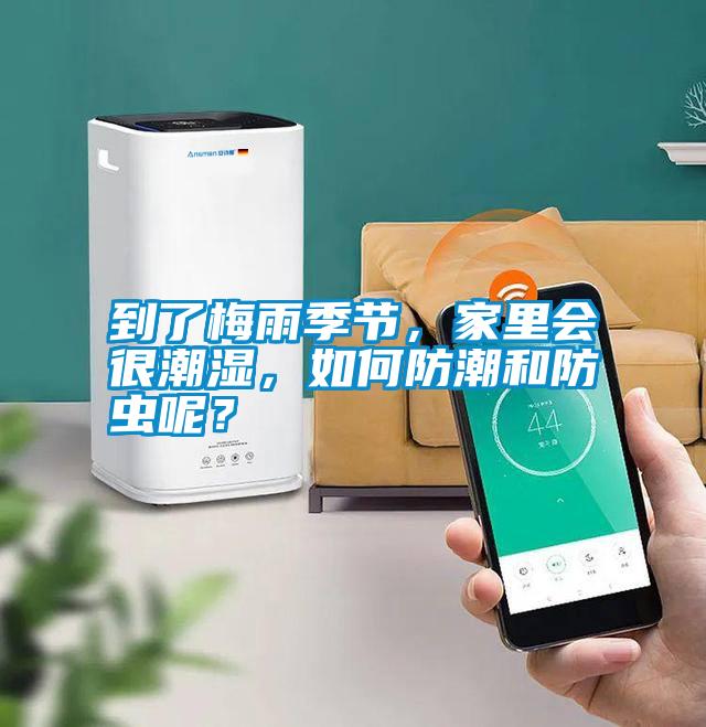到了梅雨季節，家里會很潮濕，如何防潮和防蟲呢？