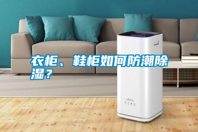 衣柜、鞋柜如何防潮除濕？