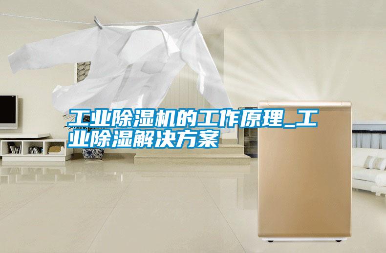 工業除濕機的工作原理_工業除濕解決方案