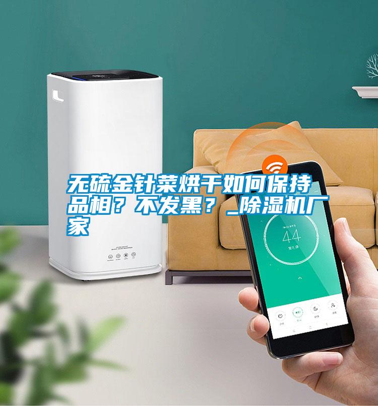 無硫金針菜烘干如何保持品相？不發(fā)黑？_除濕機廠家