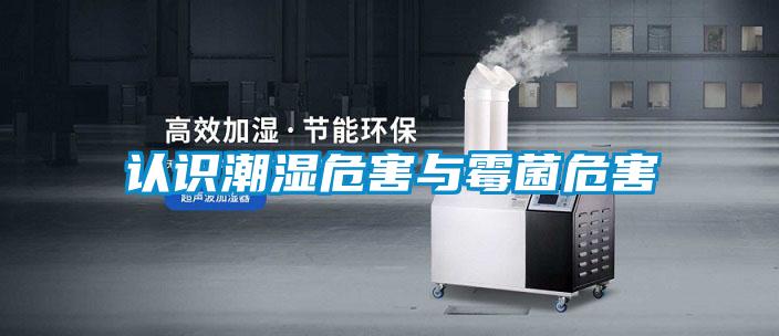 認識潮濕危害與霉菌危害