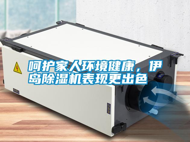 呵護家人環境健康，伊島除濕機表現更出色