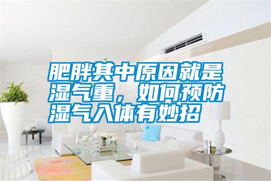 肥胖其中原因就是濕氣重,如何預防濕氣入體有妙招