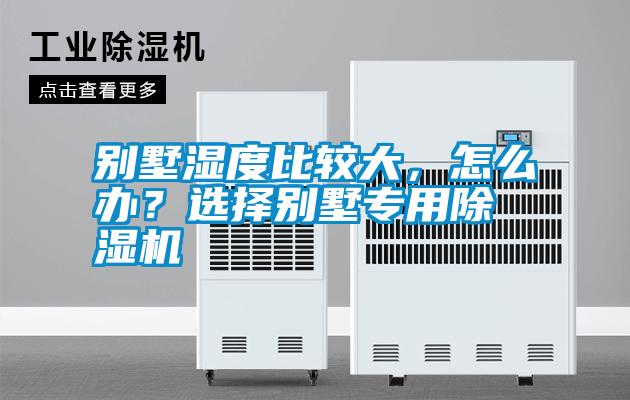 別墅濕度比較大，怎么辦？選擇別墅專用除濕機